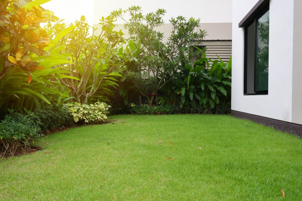 Jardin avec pelouse en semis et plantations