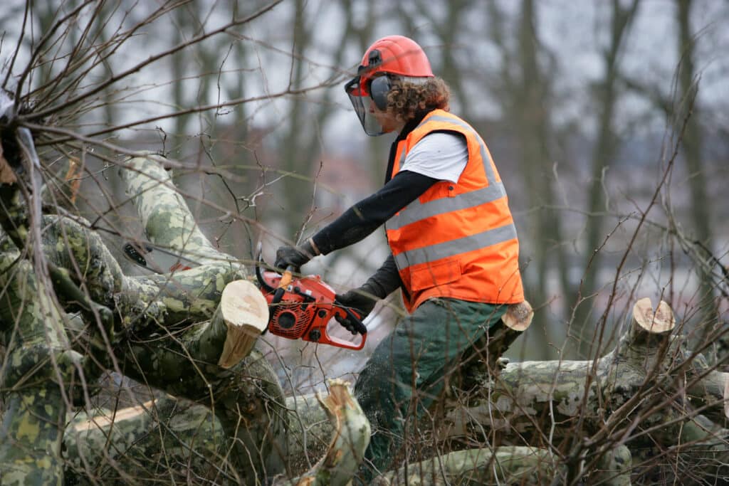 Élagueur avec casque, visière, protection auditive et gilet fluo coupe une branche d'arbre à la tronçonneuse. Sciure visible.