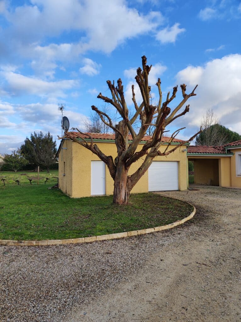 Grand arbre élagué devant une maison jaune aux toits en tuiles rouges, avec jardin et allée de gravier sous ciel nuageux.
