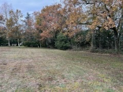 Grand espace herbeux bordé d'arbres aux feuillages d'automne et persistants sous un ciel couvert. Ambiance naturelle paisible.