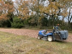 Un tracteur de jardin bleu avec un système de ramassage de feuilles collectant les feuilles mortes sur une pelouse en automne.